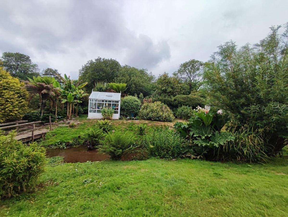 세인트오스틀 Tree Fern Barn 빌라 외부 사진